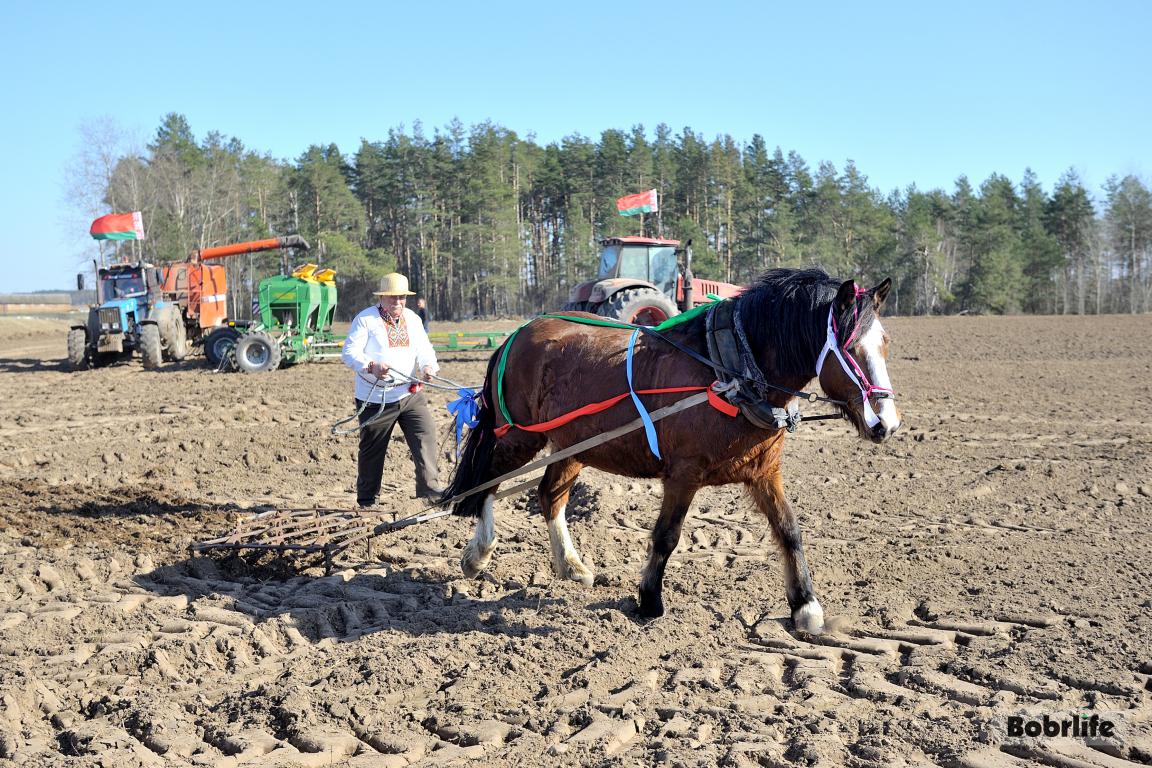 Народные приметы на 27 марта. Что можно и нельзя делать в этот день