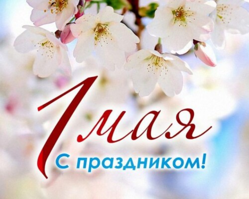 Уважаемые бобруйчане! Дорогие земляки!