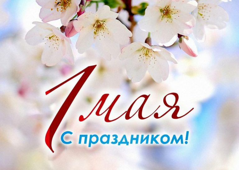 Уважаемые бобруйчане! Дорогие земляки!