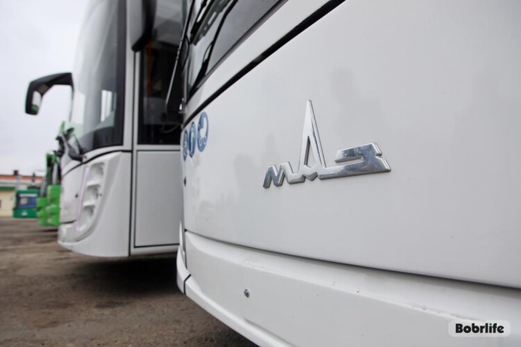 Автобусы на Радуницу: до кладбищ Бобруйска пустят дополнительные рейсы. Узнали расписание