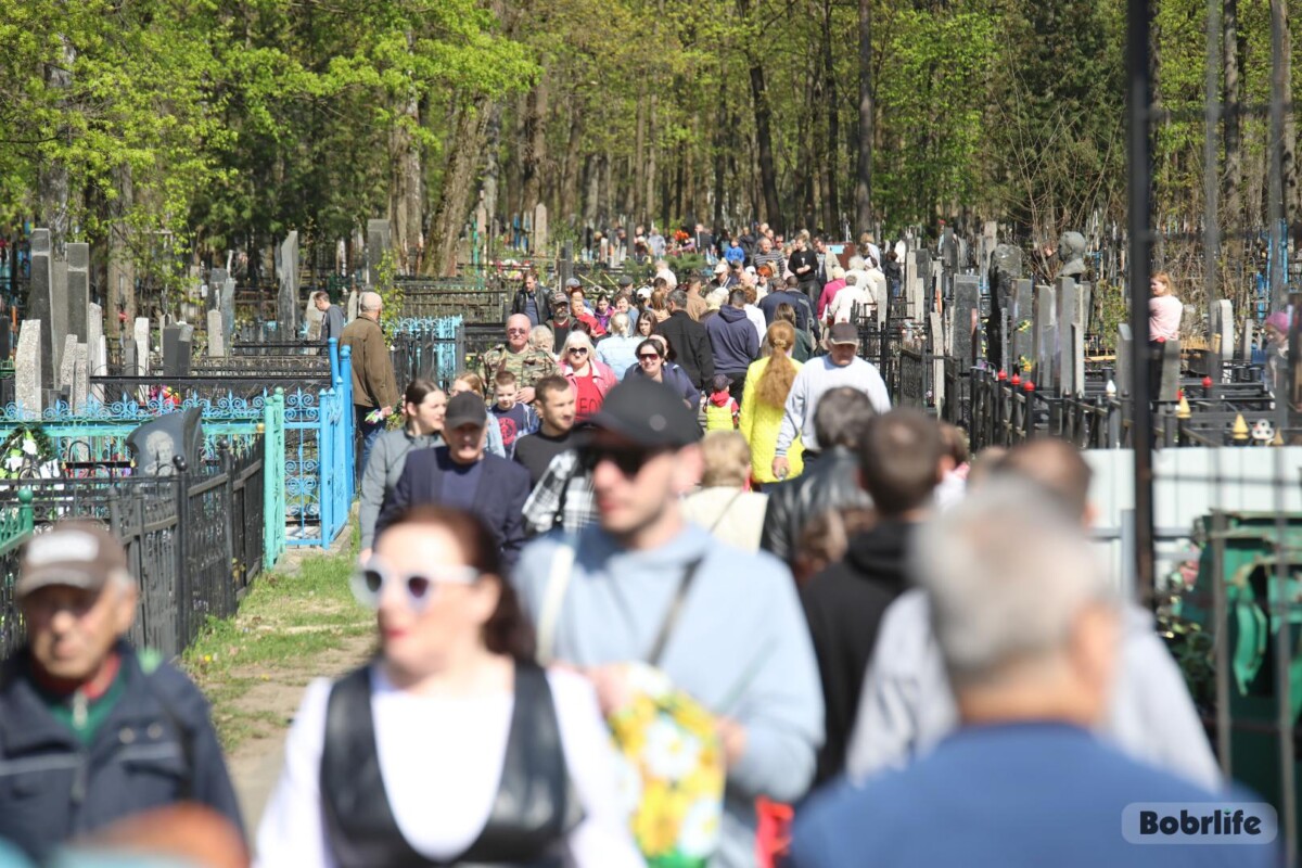 Народные приметы на 21 апреля. Что можно и нельзя делать в этот день