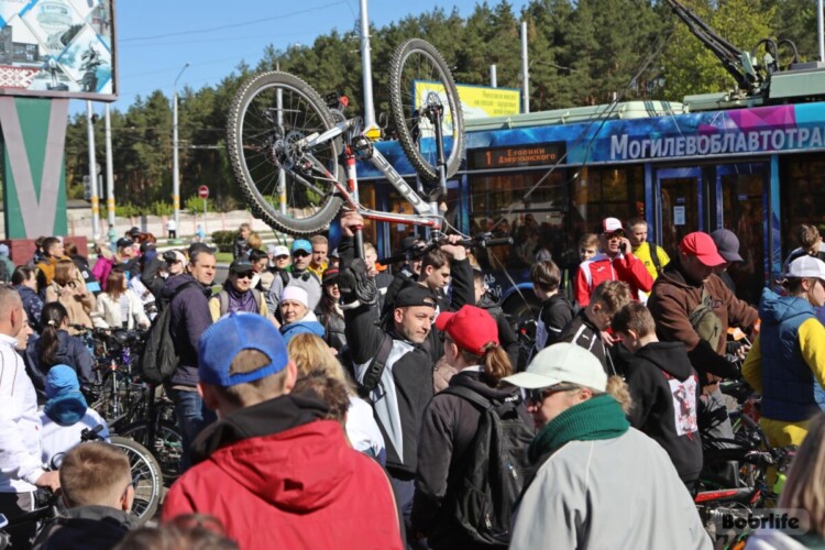 Вернуть велосипед. В прокуратуре Бобруйска рассказали, что делать, если «двухколесного друга» украли