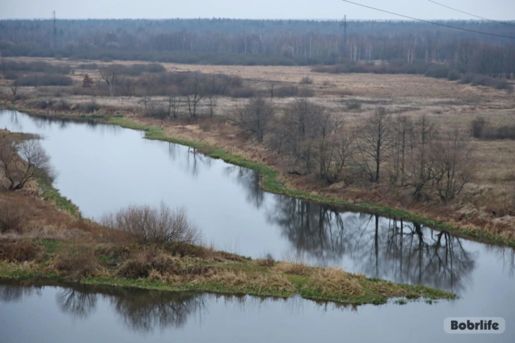Экологическая акция «Беларусь синеокая» в Бобруйске: объединим усилия ради чистоты водоемов