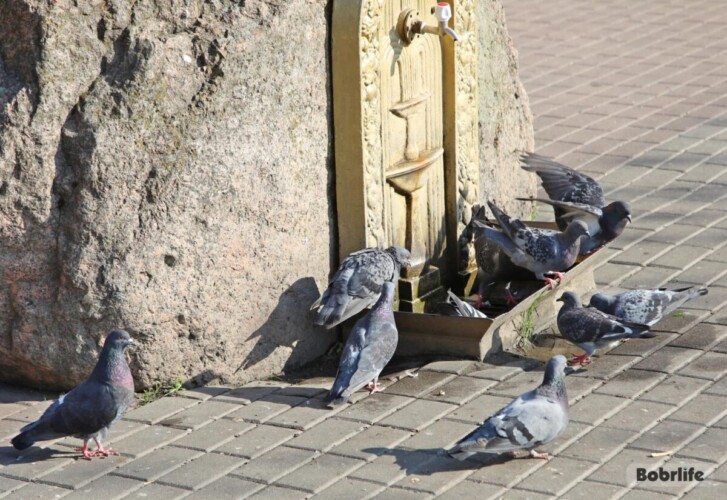 Народные приметы на 3 апреля. Что можно и нельзя делать в этот день