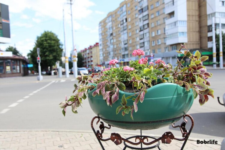 Чистота в приоритете. Санитарные службы Бобруйска осуществляют контроль мероприятий по благоустройству и наведению порядка в городе