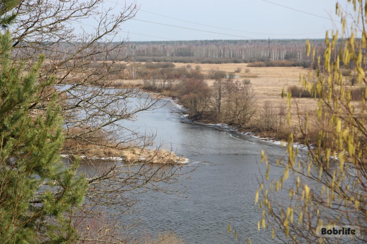Народные приметы на 24 апреля. Что можно и нельзя делать в этот день