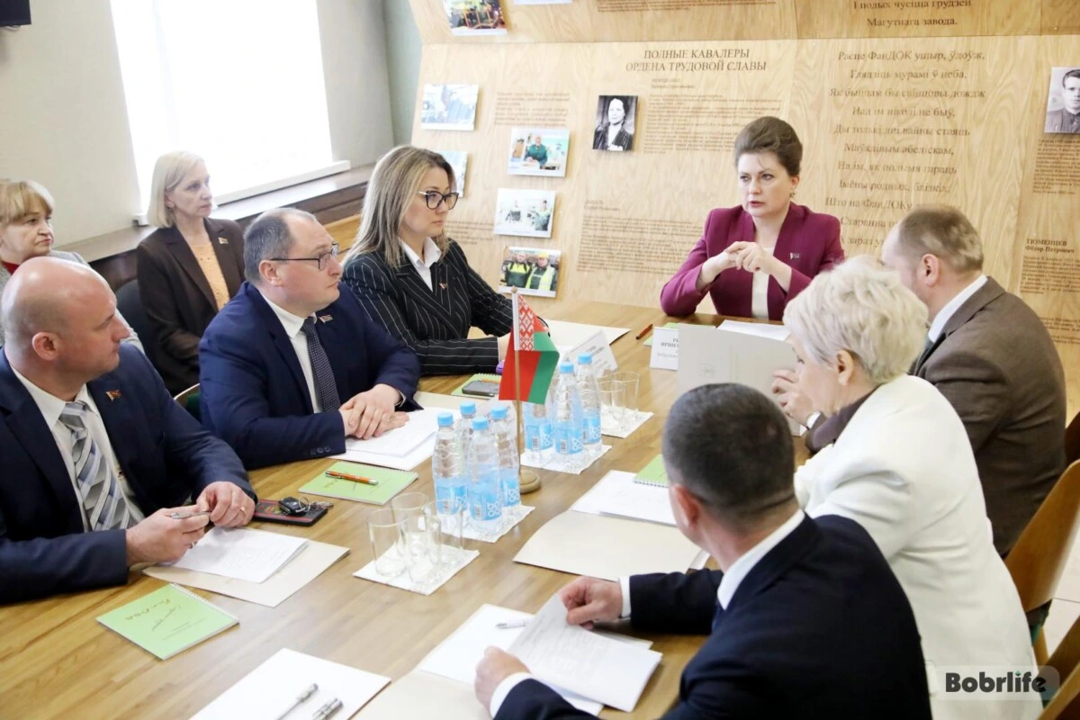 Связь между поколениями. Поддержку ветеранов и патриотическое воспитание молодежи обсудили депутаты Бобруйского горсовета