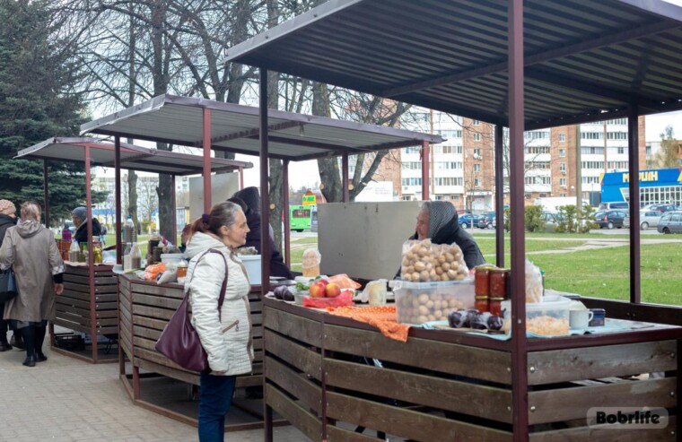 Легальные дары природы: где в Бобруйске можно безопасно реализовать и приобрести продукцию собственного производства