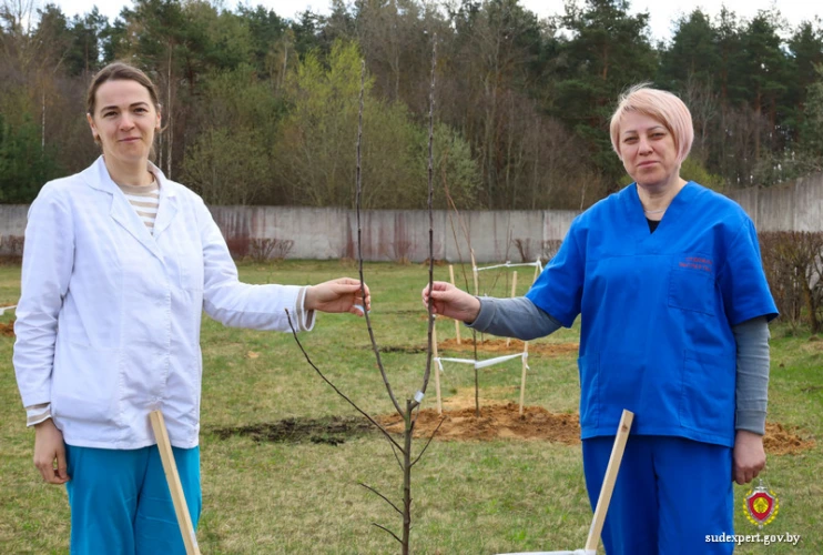 В подарок женщинам-экспертам – цветочный сад