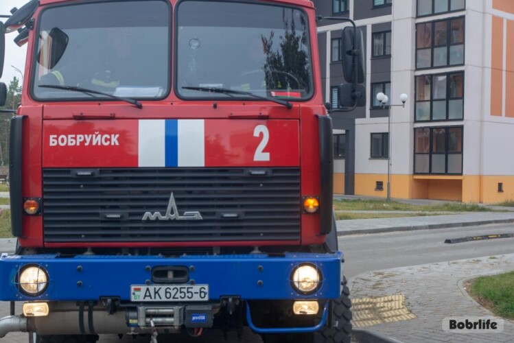 На пожаре в Бобруйске работники МЧС спасли троих человек