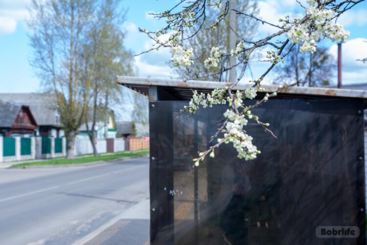 Без промедлений. На улице Кирова в Бобруйске восстановили остановочный пункт