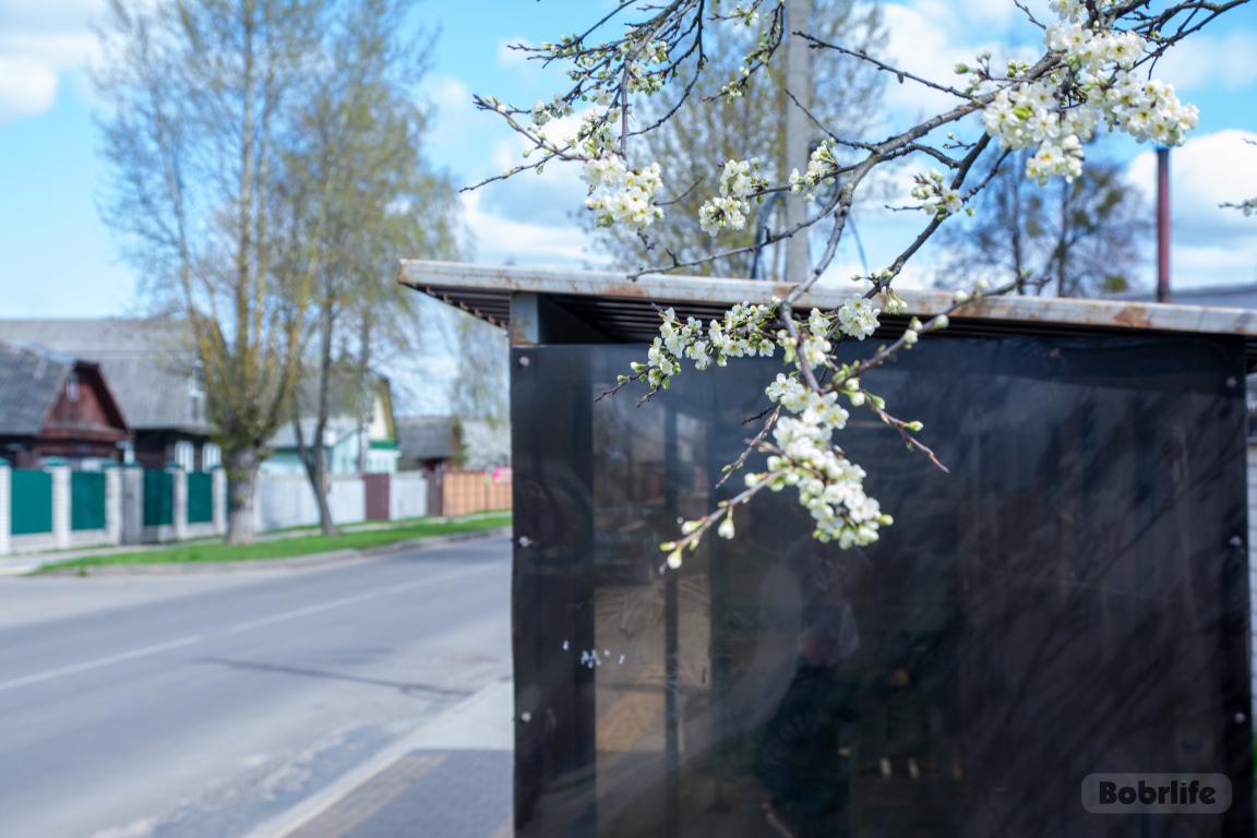 Без промедлений. На улице Кирова в Бобруйске восстановили остановочный пункт