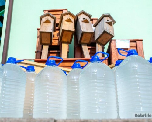 Народные приметы на 10 апреля. Что можно и нельзя делать в этот день