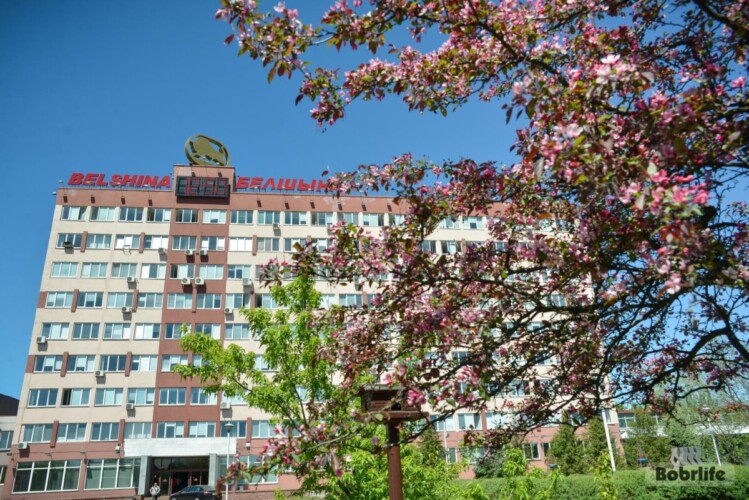 Наслаждаться весной! Как пережить сезонную аллергию на пыльцу, рассказала врач из Бобруйска Наталья Бежиташвили