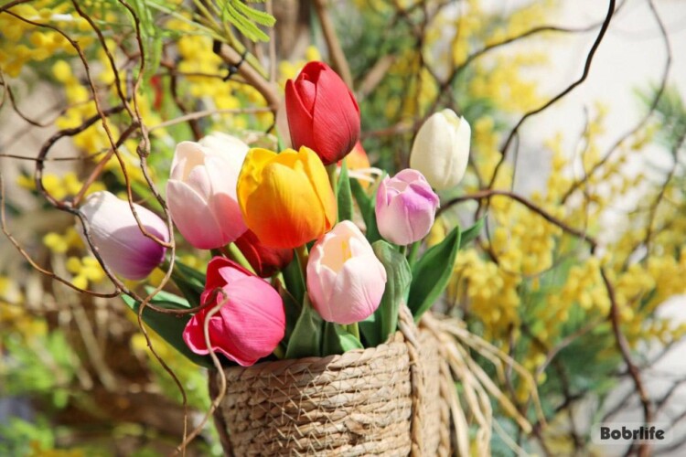 Будет ли погода 21 апреля комфортной для прогулок, рассказали синоптики