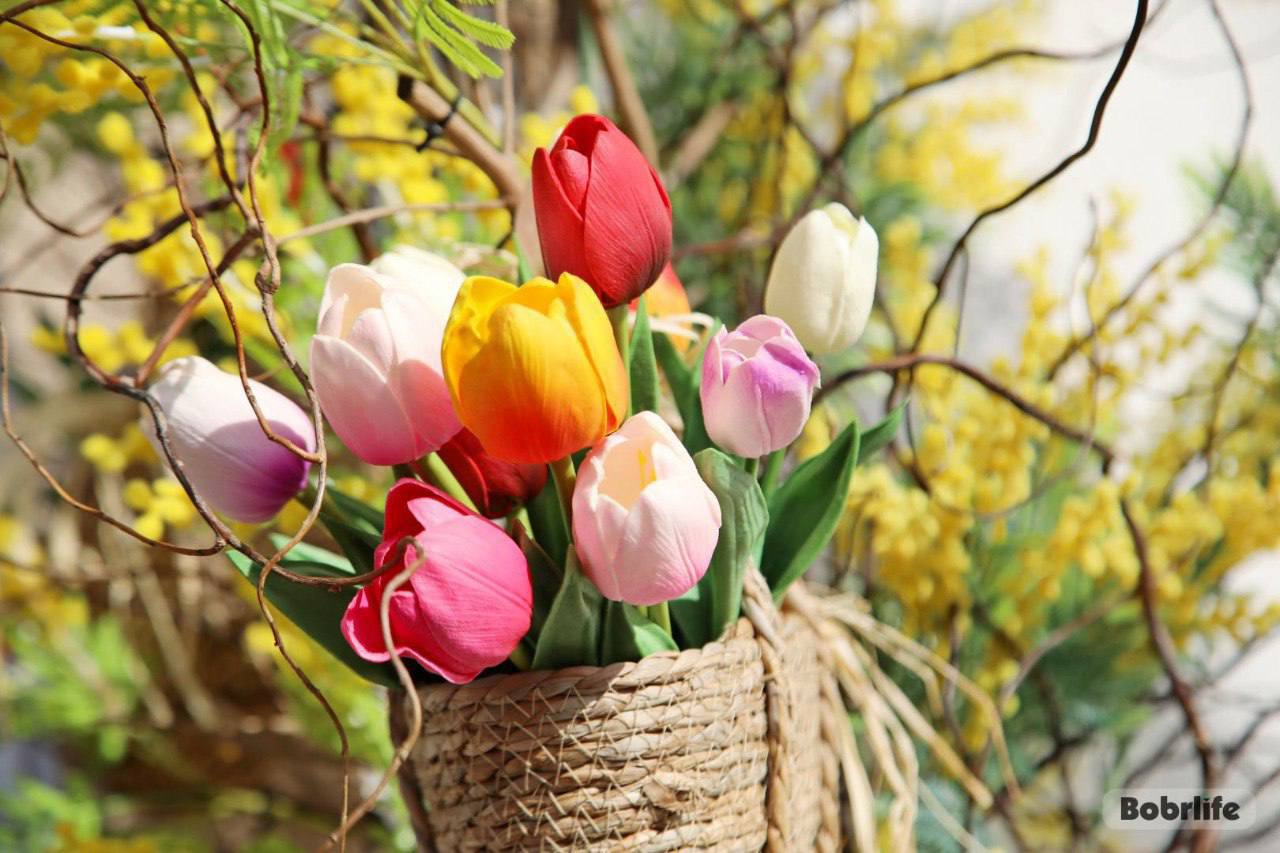 Будет ли погода 21 апреля комфортной для прогулок, рассказали синоптики