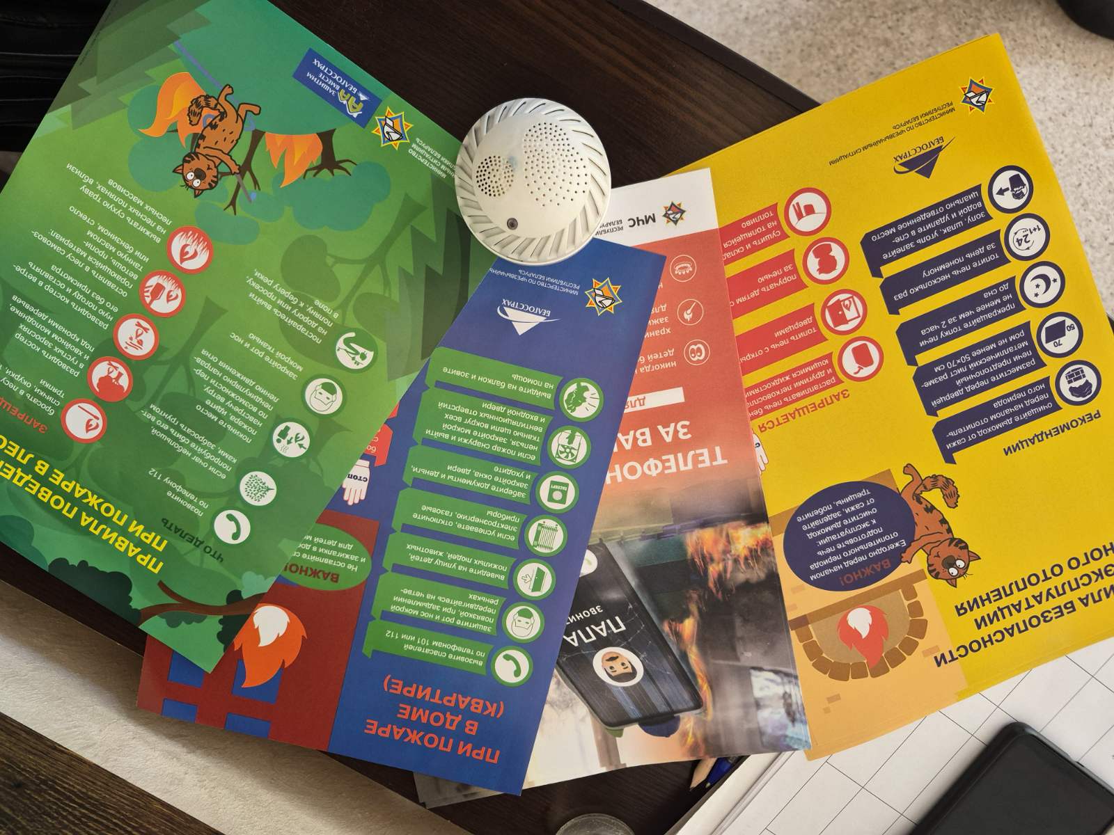 Безопасность – прежде всего: важная беседа для активного долголетия состоялась в Бобруйске