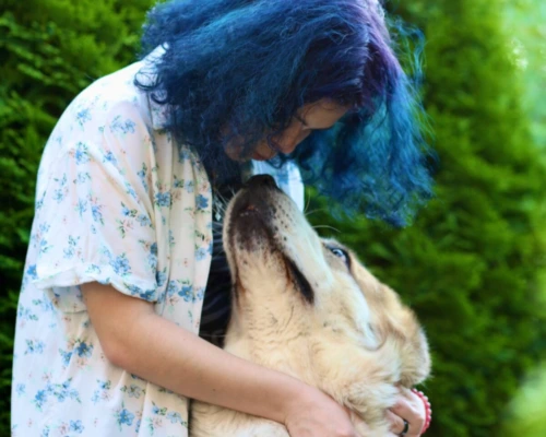 Алабай: грозный охранник или мамина радость? Бобруйчанка рассказала об особенностях характера пса исполинских размеров