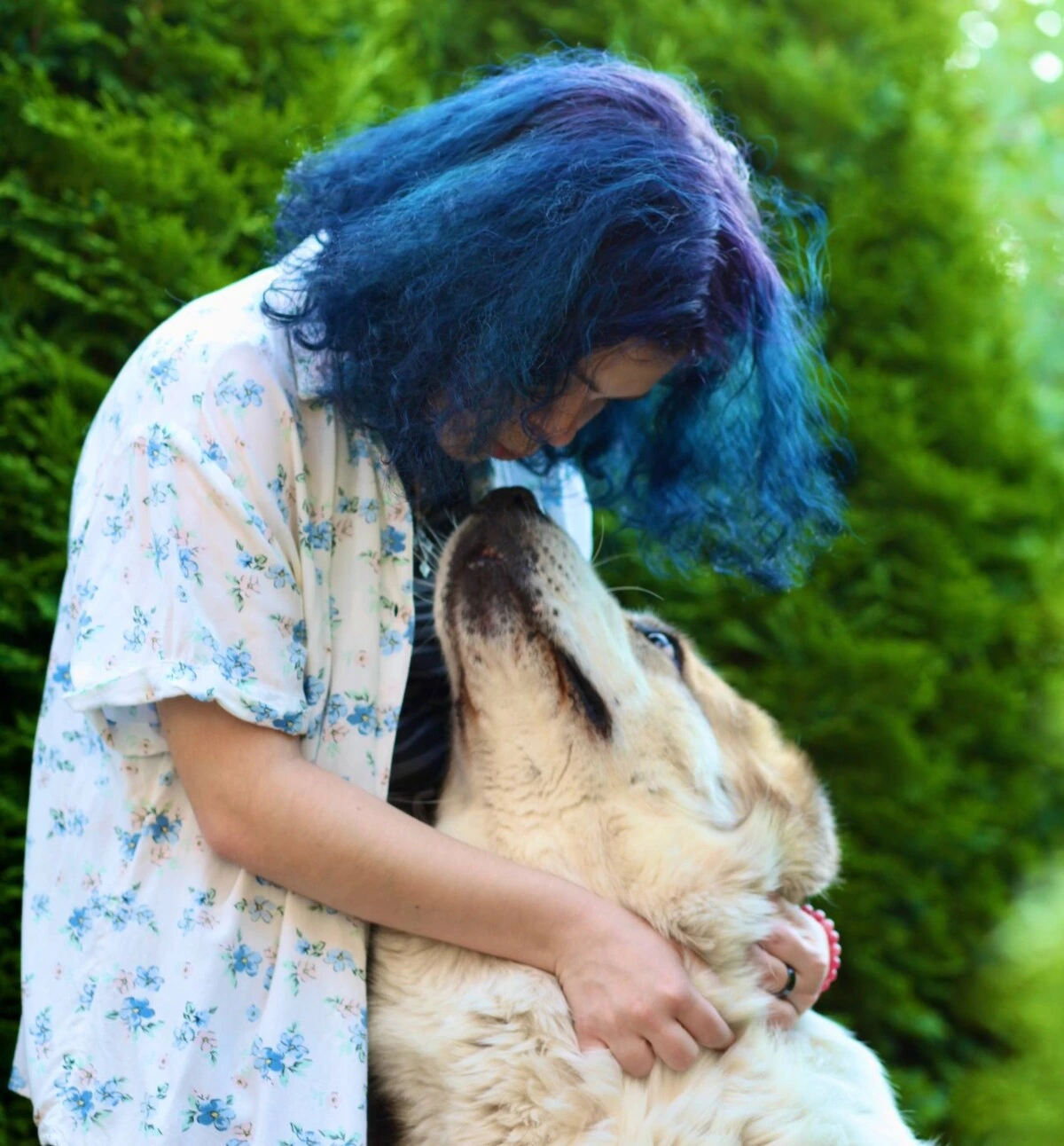 Алабай: грозный охранник или мамина радость? Бобруйчанка рассказала об особенностях характера пса исполинских размеров