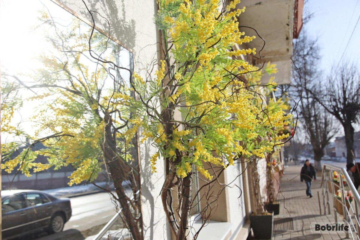 Прогноз погоды. Могилевская область