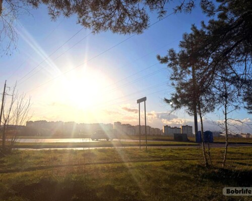 Народные приметы на 8 апреля. Что можно и нельзя делать в этот день