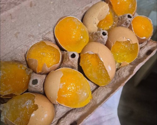 Бобруйчанка купила замороженные куриные яйца в «Евроопте»: что ответили в сети