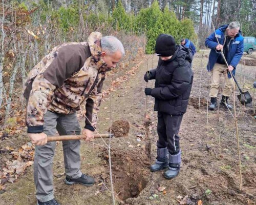 Инвестиция в зеленое будущее. В Брожском лесничестве трудились партийцы