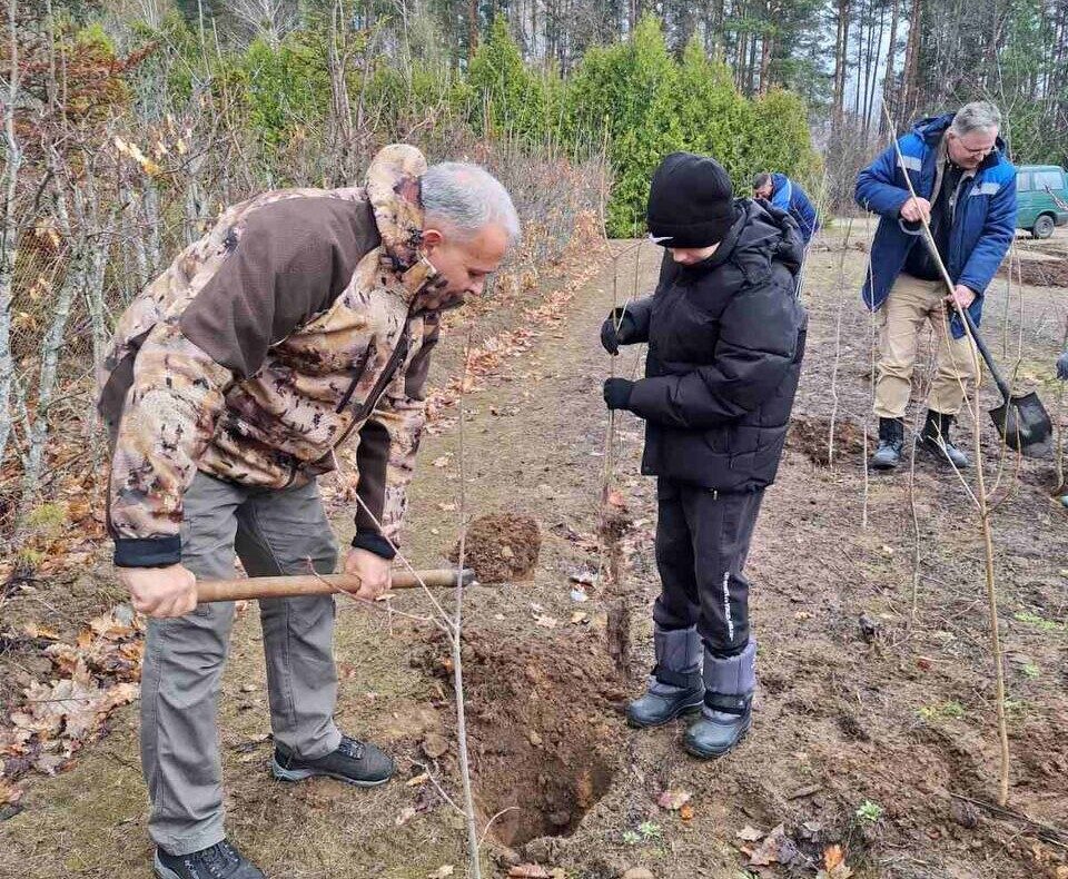 Инвестиция в зеленое будущее. В Брожском лесничестве трудились партийцы