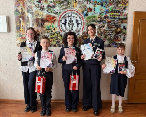 Покорили область. Работы бобруйских школьников заняли первое место