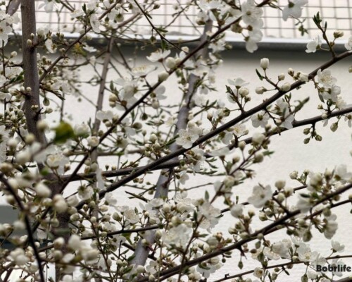 Гороскоп на 19 апреля