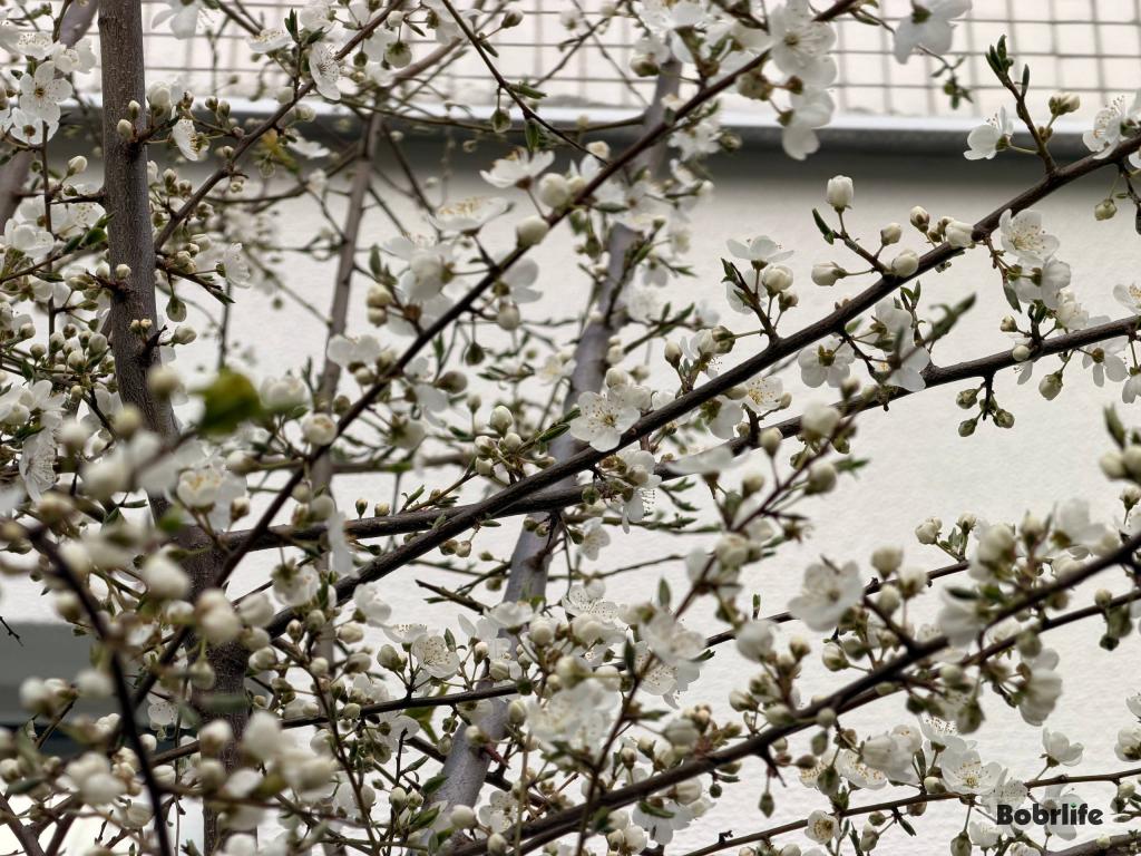 Гороскоп на 19 апреля