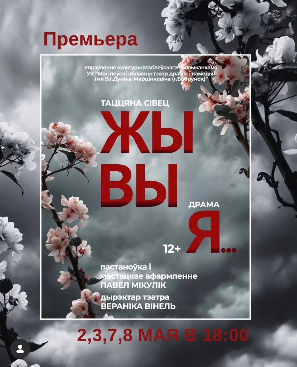 Тэатральны патрыятычны тыдзень адбудзецца ў Бабруйску. Пра прэм’ерны спектакль расказала Таццяна Сівец