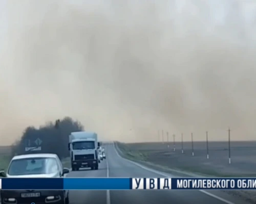 На трассе между Бобруйском и деревней Ясный лес образовалось пылевое облако: столкнулись 5 машин