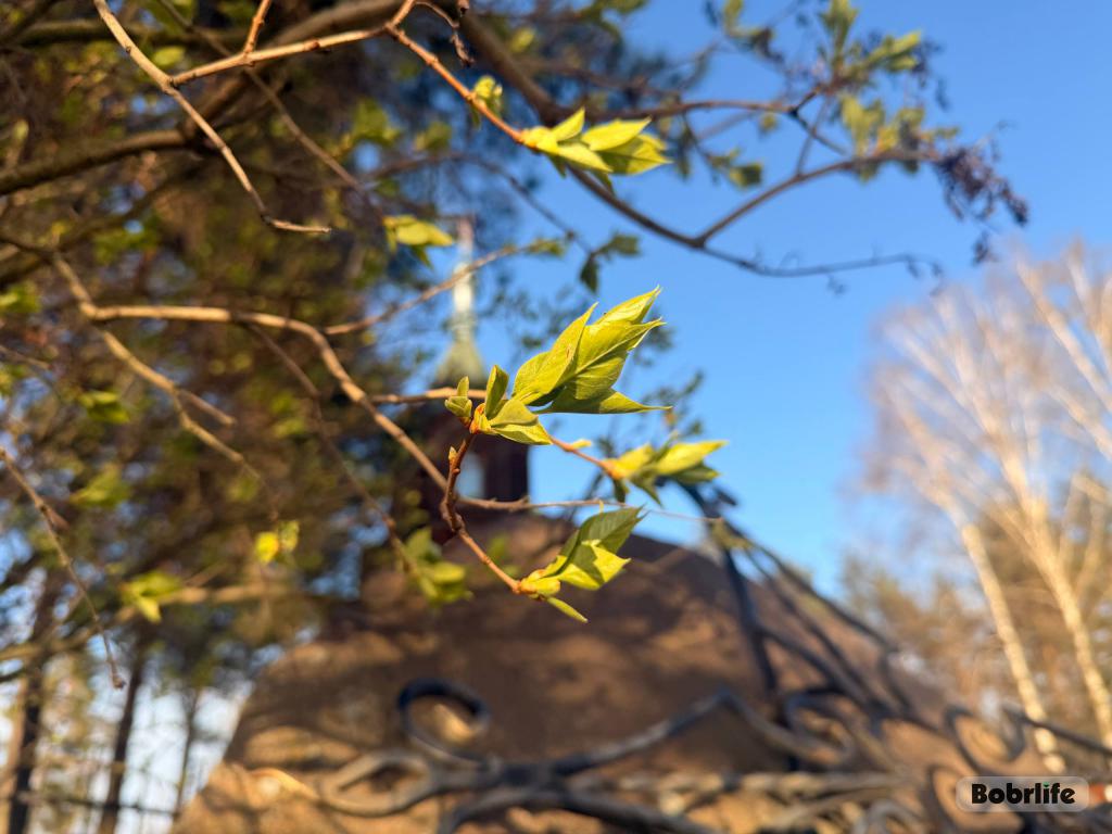 Прогноз погоды. Могилевская область