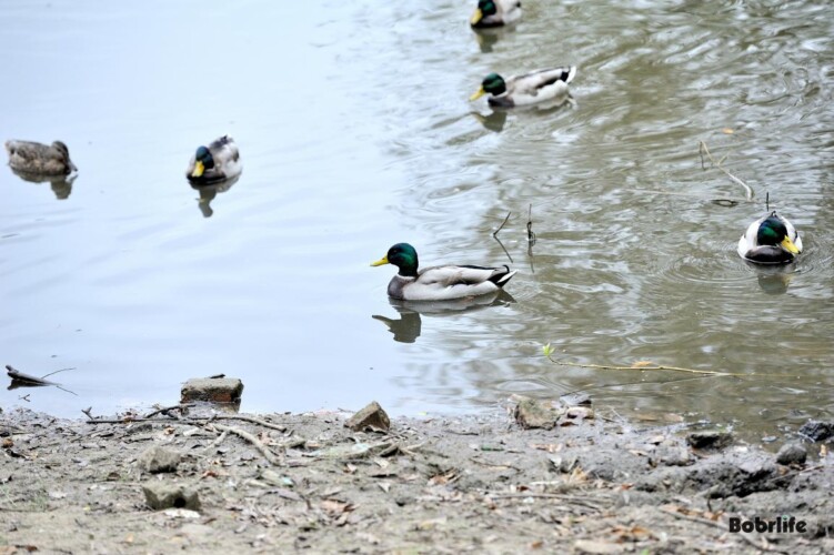 Народные приметы на 4 апреля: чего нельзя делать в Лазареву субботу?