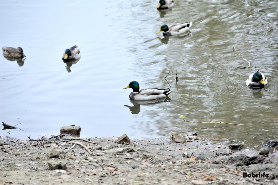 Народные приметы на 4 апреля: чего нельзя делать в Лазареву субботу?