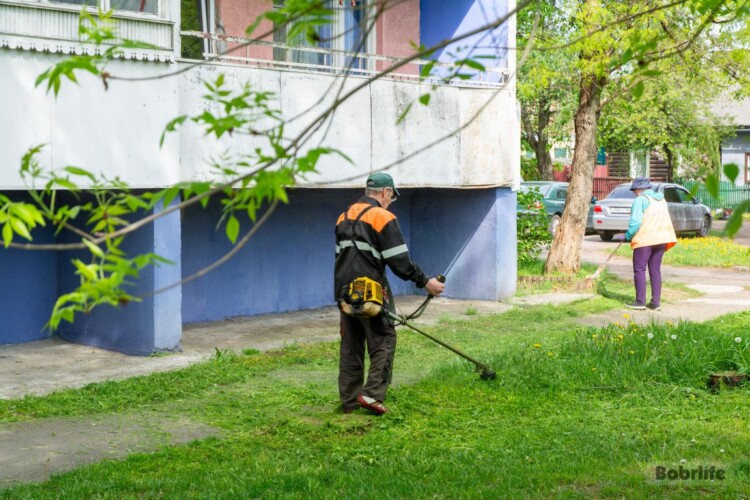 Не скосил – заплатишь. В Беларуси вводят штрафы до 450 рублей за опасные растения на участках