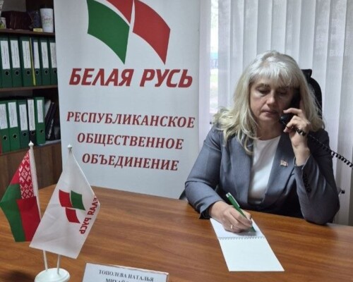 Встреча с депутатом: на актуальные вопросы многодетных семей ответила Наталья Тополева