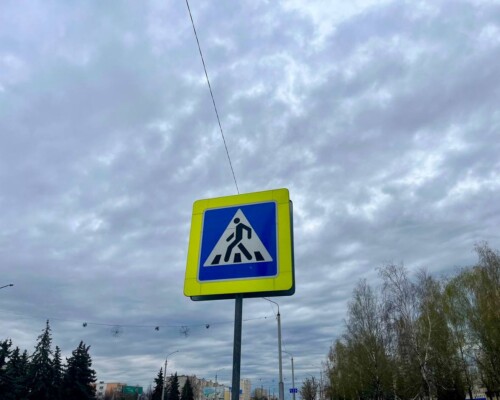 Детская безопасность под контролем Госавтоинспекции