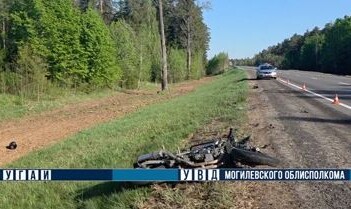 Будьте внимательны и осторожны! Мотоциклист столкнулся с диким животным в Могилевском районе
