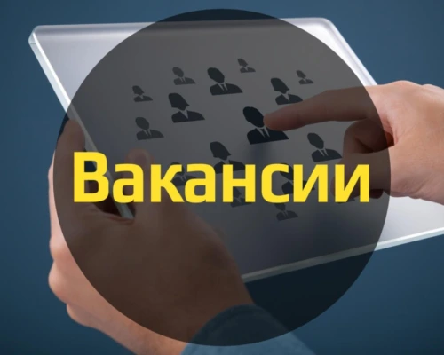Работа для каждого. Обзор актуальных вакансий в Бобруйске
