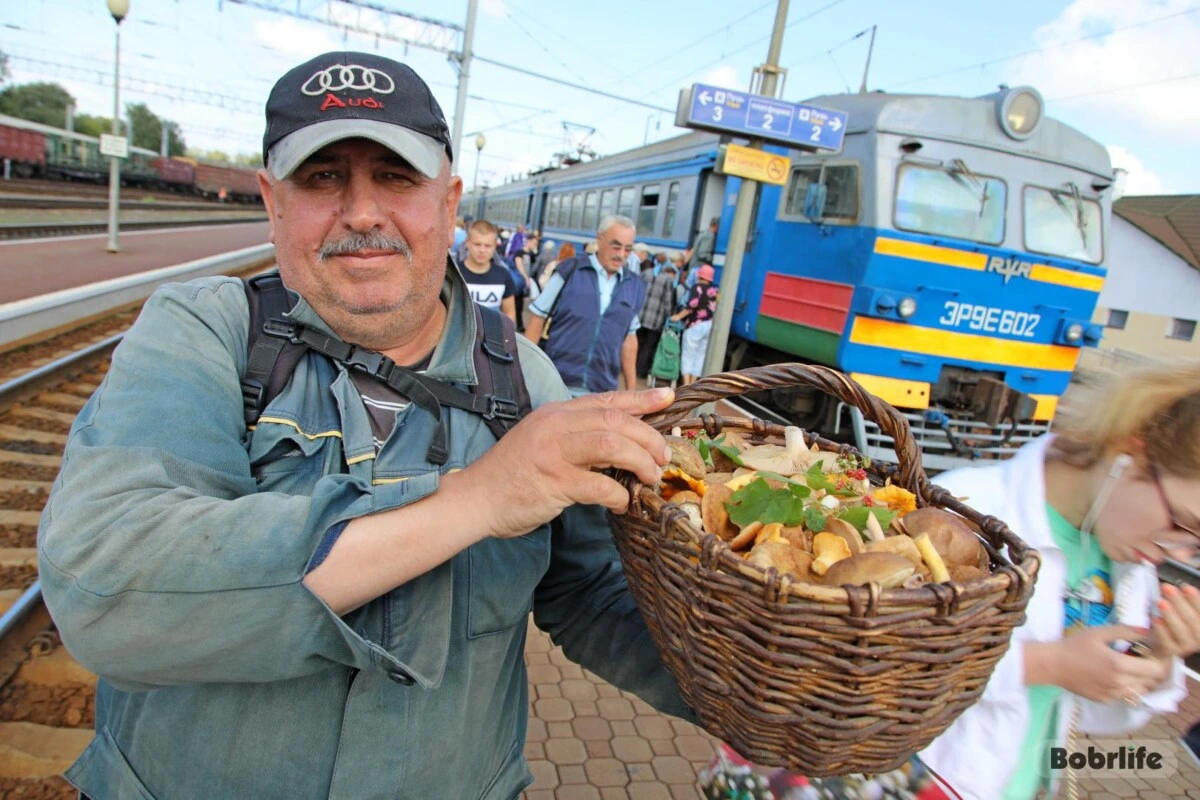Начался сезон сбора ягод и грибов. О чем важно знать, напомнили в налоговой инспекции Бобруйска
