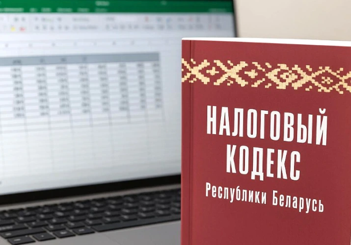 В налоговой инспекции рассказали, за что коммерческой организации из Бобруйского района предъявлено почти 30 тыс. рублей подоходного налога