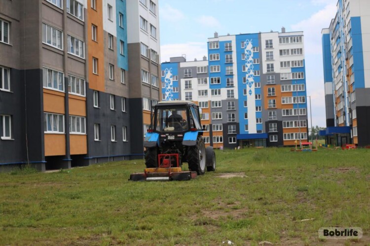 Ухоженные зеленые зоны. В Бобруйске продолжаются работы по покосу травы