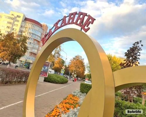 В Бобруйске свадебный бум: 38 пар сказали «Да» в «зеркальную» дату 26.06.2026