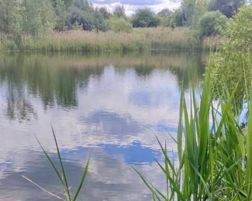 Ушел и не вернулся. В Бобруйске утонул человек