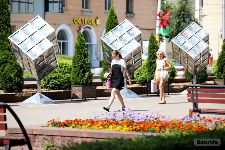 Солнце в объективе: ловим самые яркие и теплые мгновения бобруйского лета