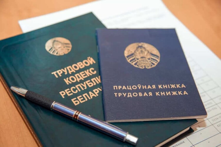 Важно знать! Какие льготы и преференции обеспечивает государство молодым специалистам