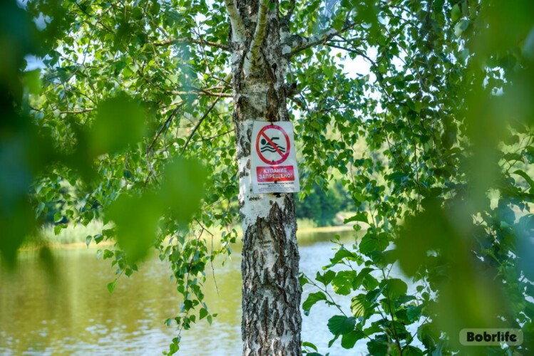 Чтобы предотвратить трагедии, соблюдайте меры безопасности у водоёмов?