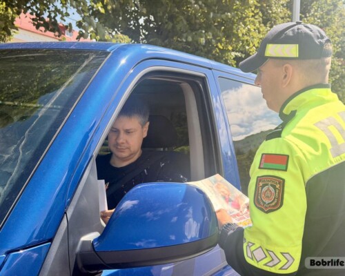 «Пристегнись к безопасности!»: в Могилевской области проходит Единый день безопасности дорожного движения